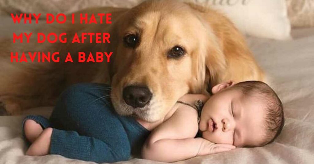 why do i hate my dog after having a baby