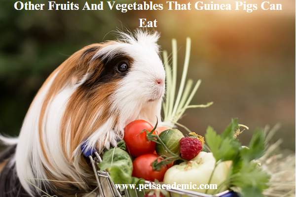  Other Fruits And Vegetables That Guinea Pigs Can Eat