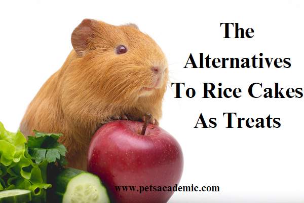  The Alternatives To Rice Cakes As Treats