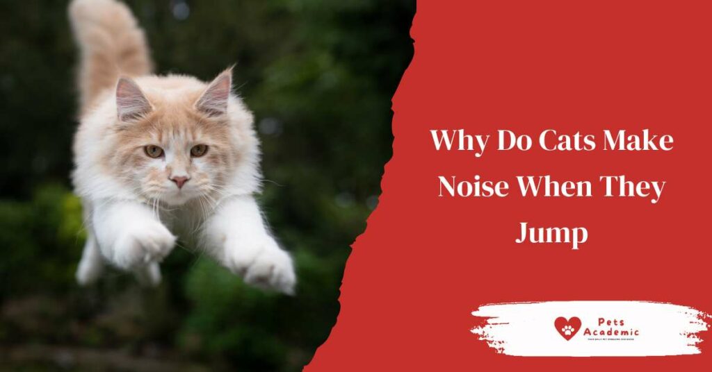 Why Do Cats Make Noise When They Jump?