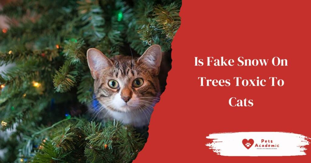 Is Fake Snow On Trees Toxic To Cats?