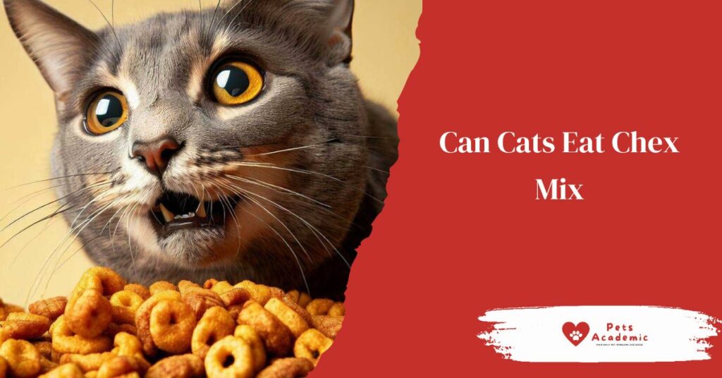 Can Cats Eat Chex Mix