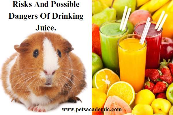 Risks And Possible Dangers Of Drinking Juice