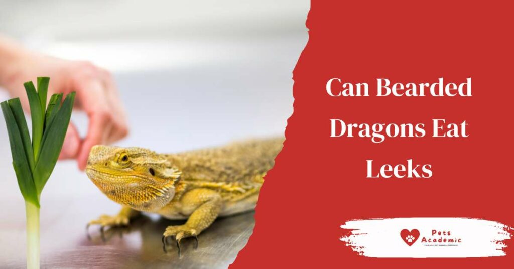 Can Bearded Dragons Eat Leeks