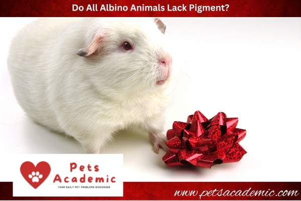 Do All Albino Animals Lack Pigment?