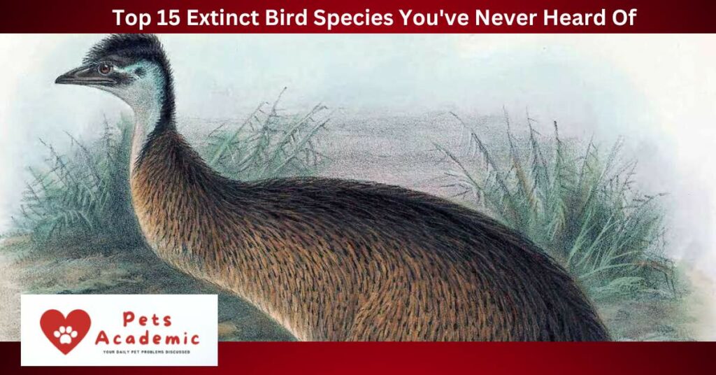 Top 15 Extinct Bird Species You've Never Heard Of