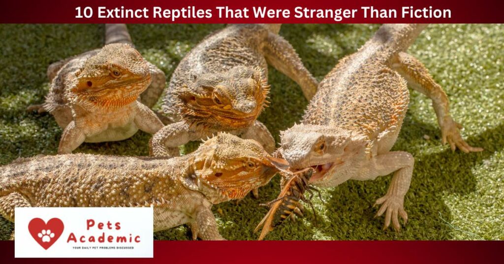10 Extinct Reptiles That Were Stranger Than Fiction