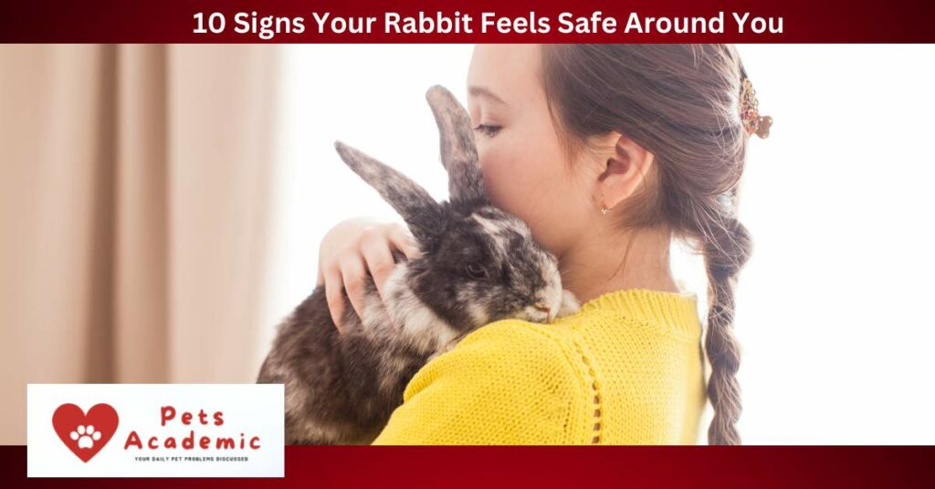 10 Signs Your Rabbit Feels Safe Around You