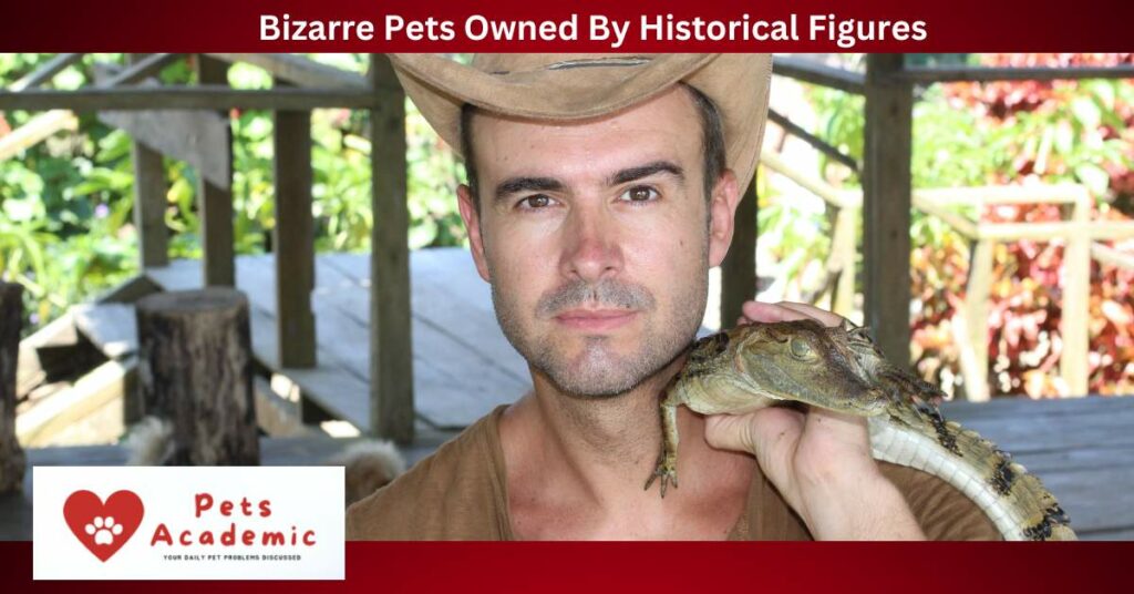 Bizarre Pets Owned By Historical Figures