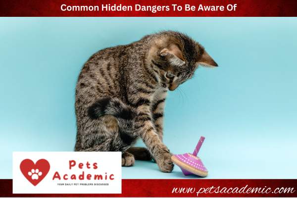Common Hidden Dangers To Be Aware Of