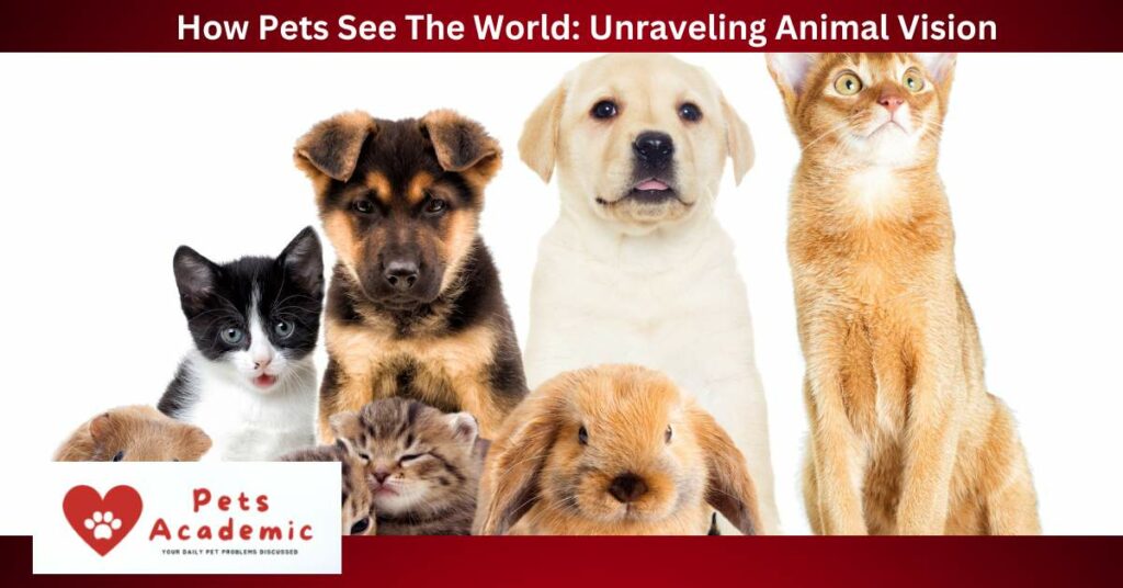 How Pets See The World: Unraveling Animal Vision