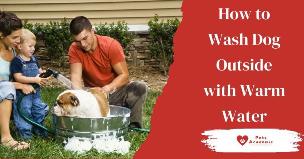 How to Wash Dog Outside with Warm Water
