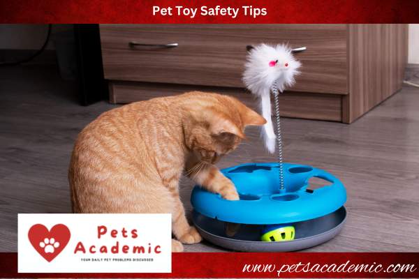 Pet Toy Safety Tips