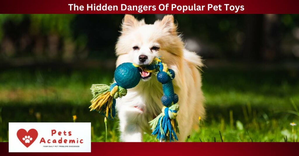 The Hidden Dangers Of Popular Pet Toys