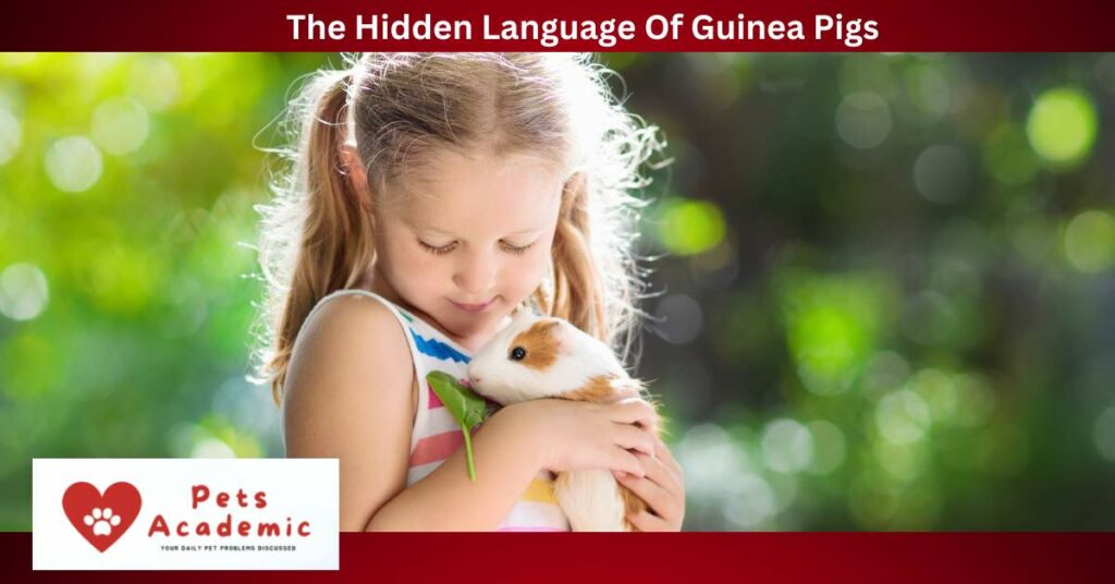 The Hidden Language Of Guinea Pigs.jpg