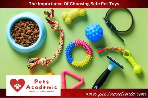 The Importance Of Choosing Safe Pet Toys