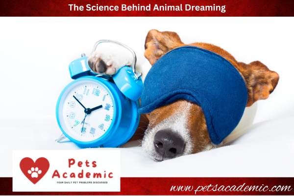 The Science Behind Animal Dreaming