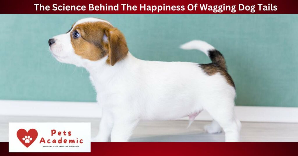 The Science Behind The Happiness Of Wagging Dog Tails