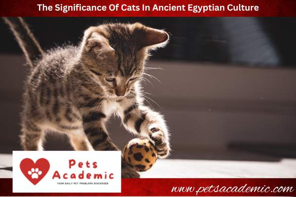 The Significance Of Cats In Ancient Egyptian Culture