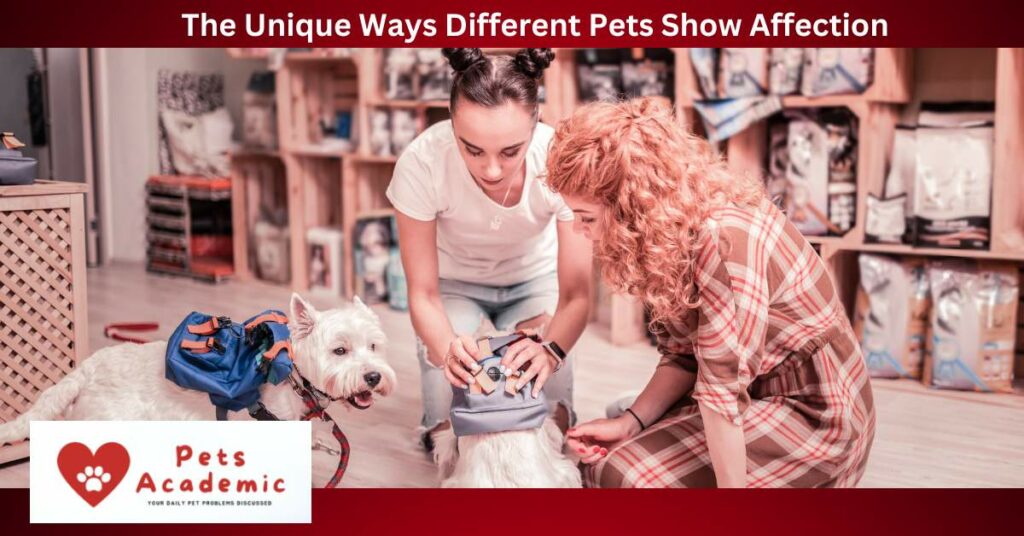 The Unique Ways Different Pets Show Affection