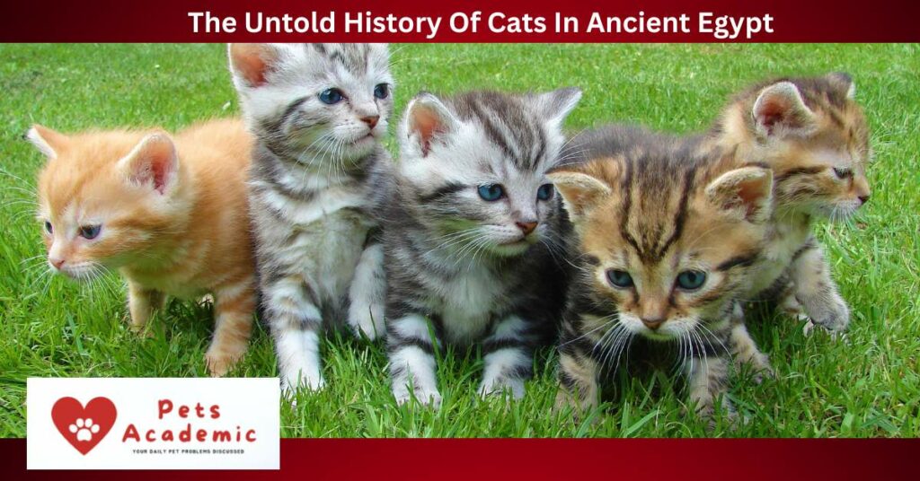 The Untold History Of Cats In Ancient Egypt