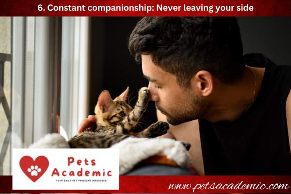 6. Constant companionship: Never leaving your side