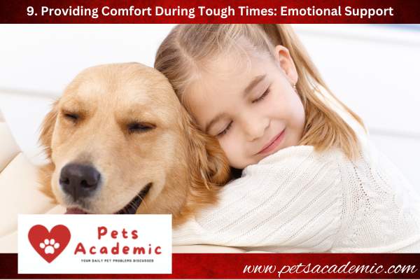 9. Providing Comfort During Tough Times: Emotional Support
