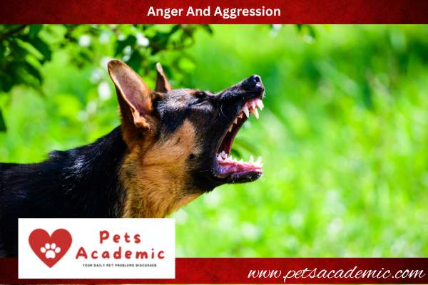 Anger And Aggression
