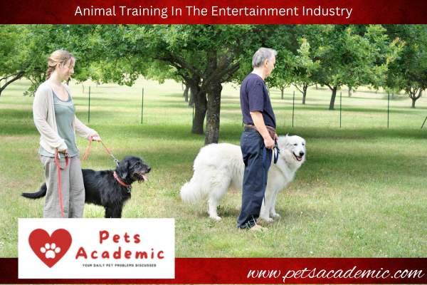 Animal Training In The Entertainment Industry