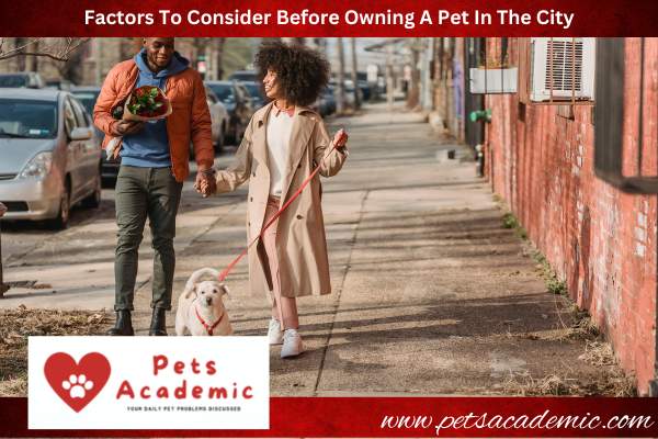 Factors To Consider Before Owning A Pet In The City