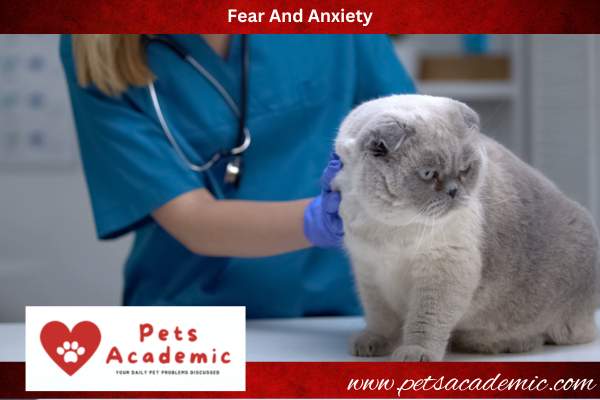 Fear And Anxiety