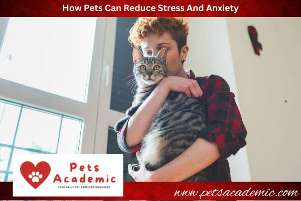 How Pets Can Reduce Stress And Anxiety