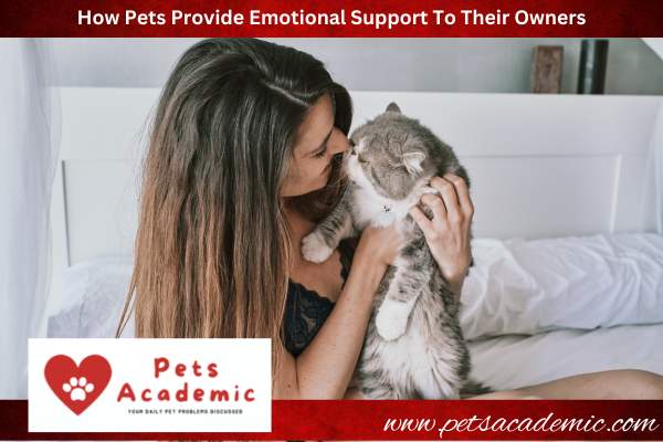 How Pets Provide Emotional Support To Their Owners