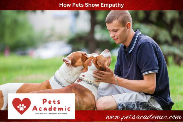 How Pets Show Empathy