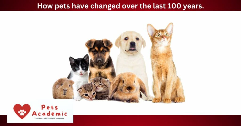 How pets have changed over the last 100 years.