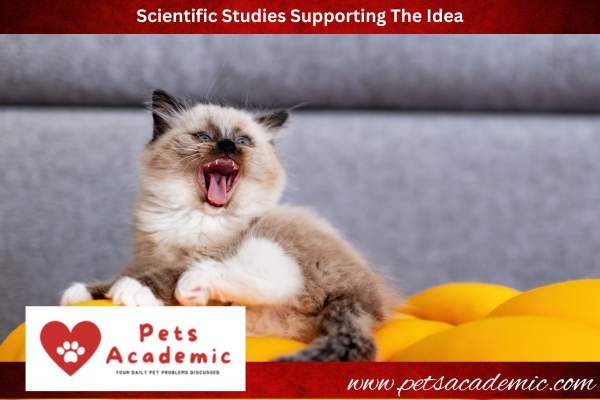 Scientific Studies Supporting The Idea