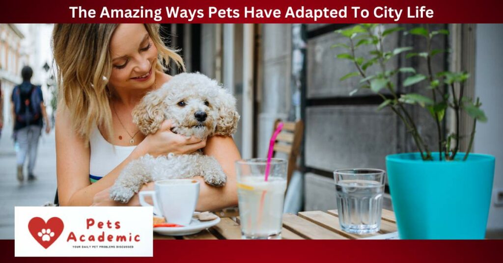The Amazing Ways Pets Have Adapted To City Life