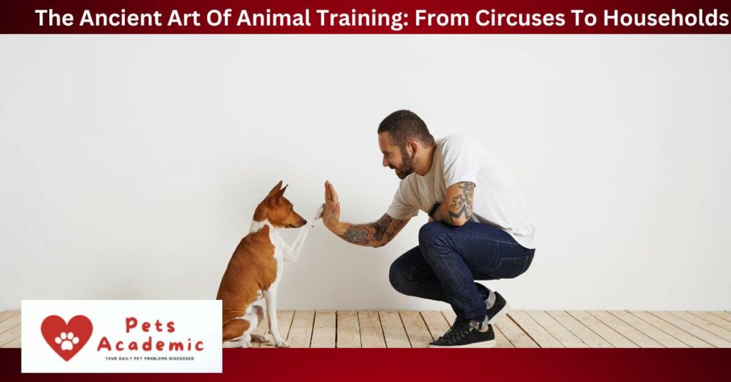 The Ancient Art Of Animal Training: From Circuses To Households