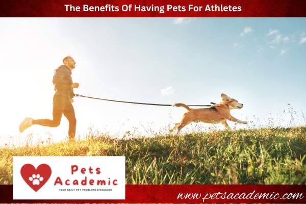 The Benefits Of Having Pets For Athletes