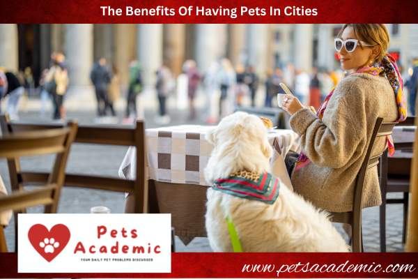 The Benefits Of Having Pets In Cities