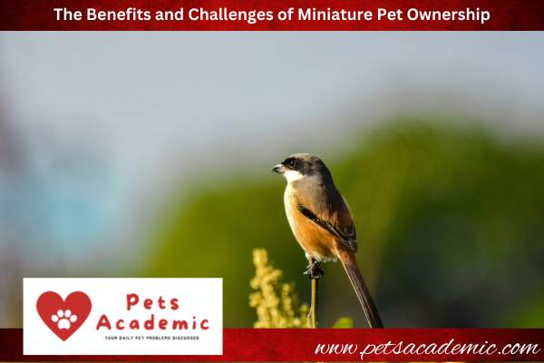 The Benefits and Challenges of Miniature Pet Ownership
