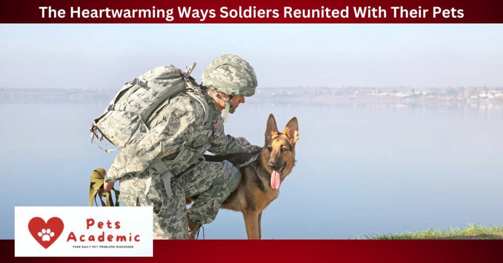 The Heartwarming Ways Soldiers Reunited With Their Pets