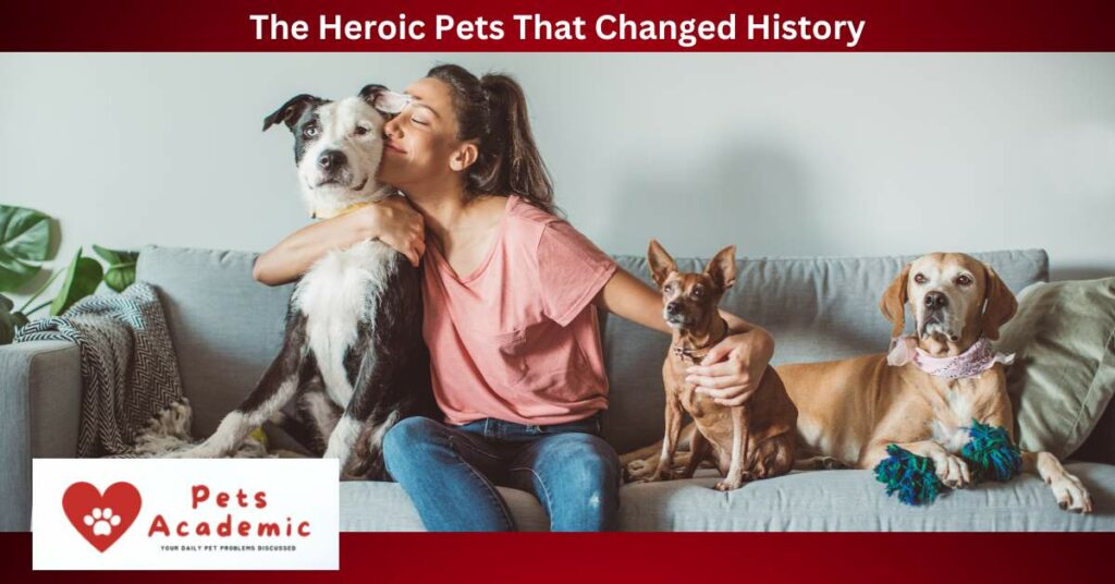 The Heroic Pets That Changed History