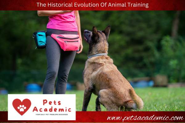 The Historical Evolution Of Animal Training