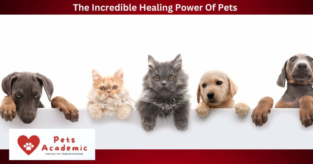 The Incredible Healing Power Of Pets