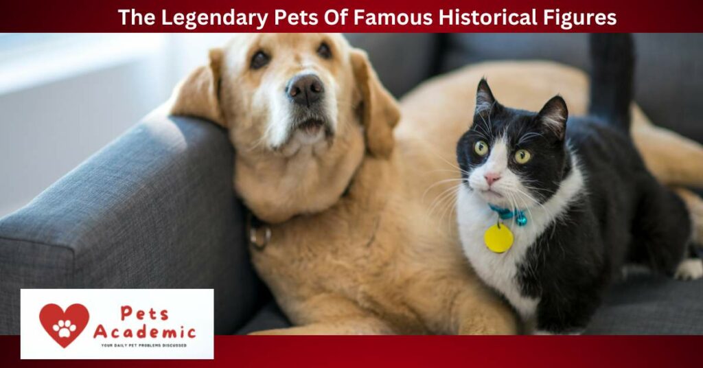 The Legendary Pets Of Famous Historical Figures