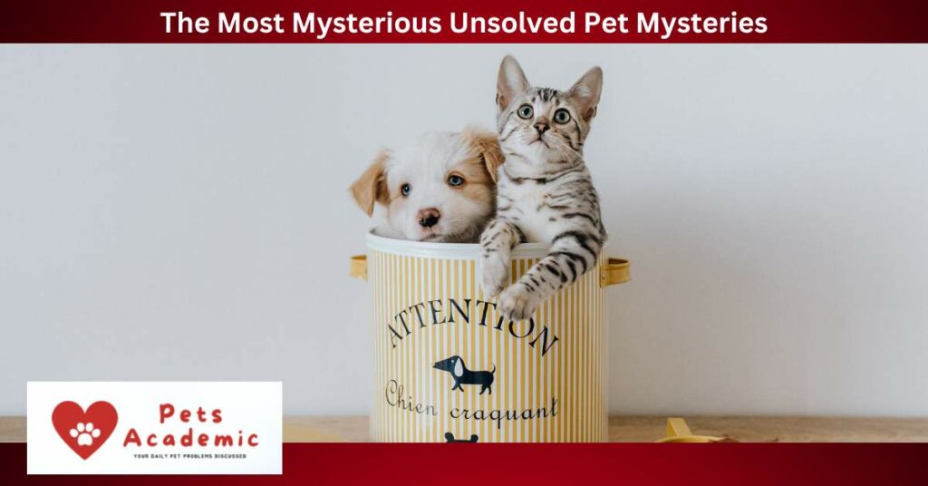 The Most Mysterious Unsolved Pet Mysteries