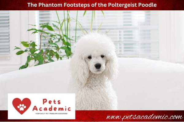 The-Phantom-Footsteps-of-the-Poltergeist-Poodle