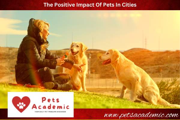 The Positive Impact Of Pets In Cities