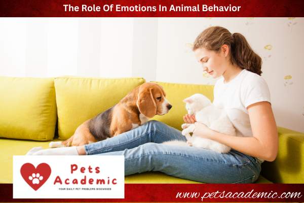 The Role Of Emotions In Animal Behavior